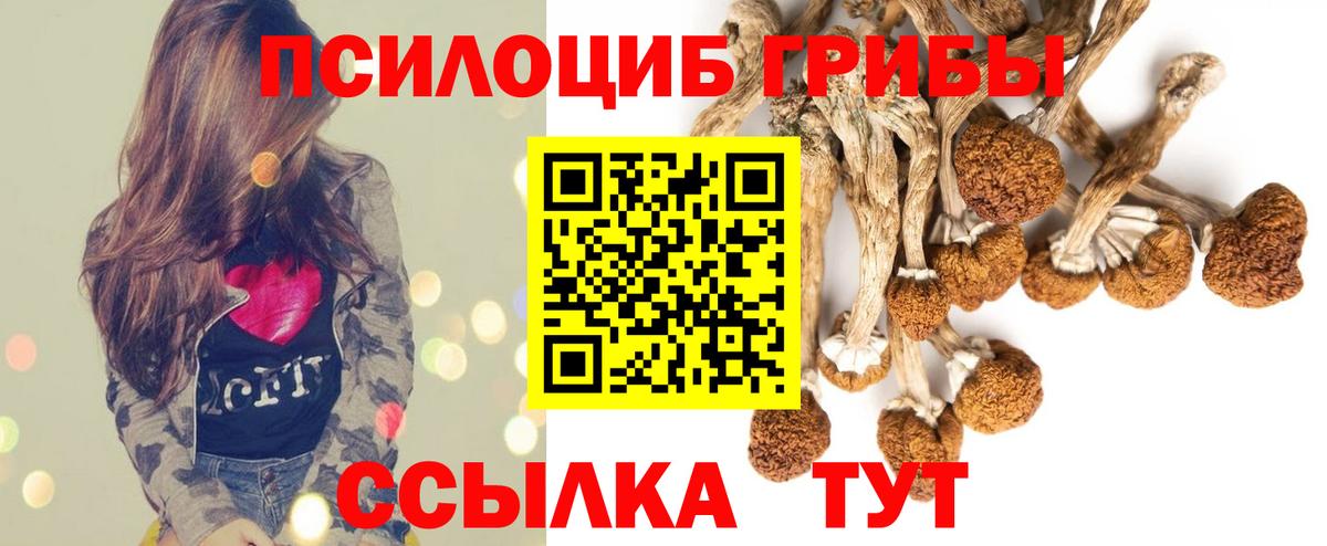 Галлюциногенные грибы ЛСД  Вход с VPN  Гулькевичи 